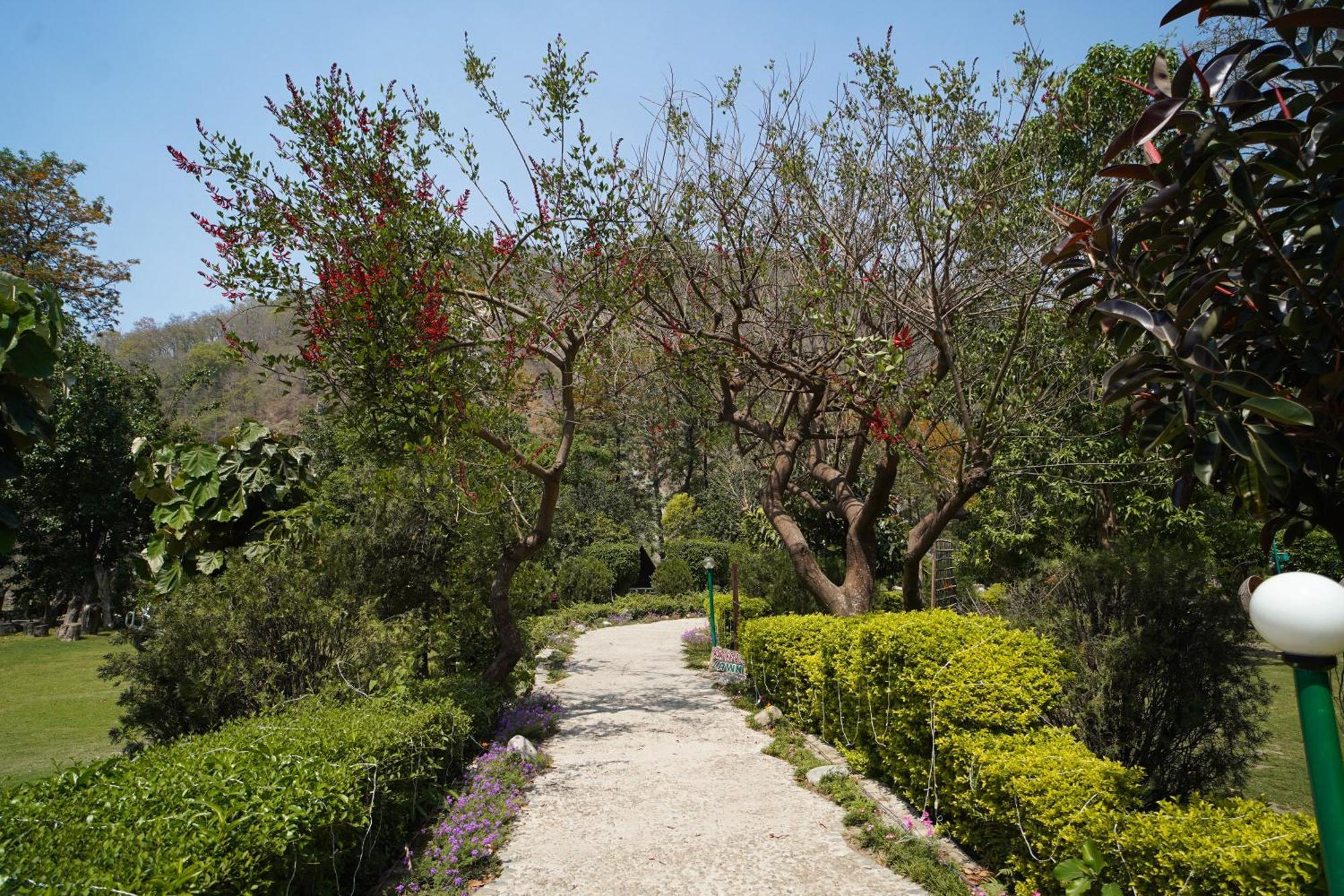 منتجع ذا سولونا Garjia المظهر الخارجي الصورة